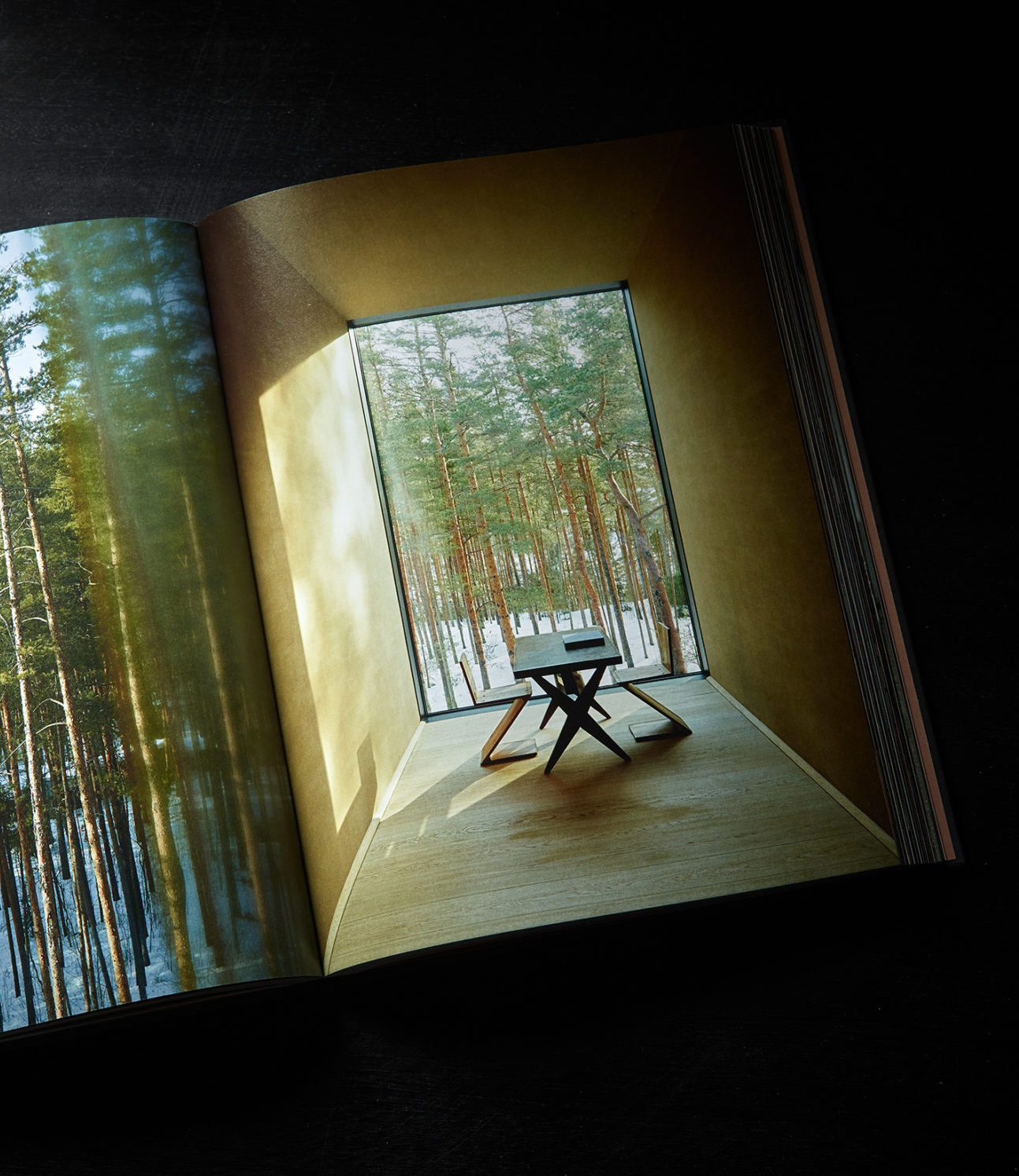 Axel Vervoordt: Portraits of Interiors