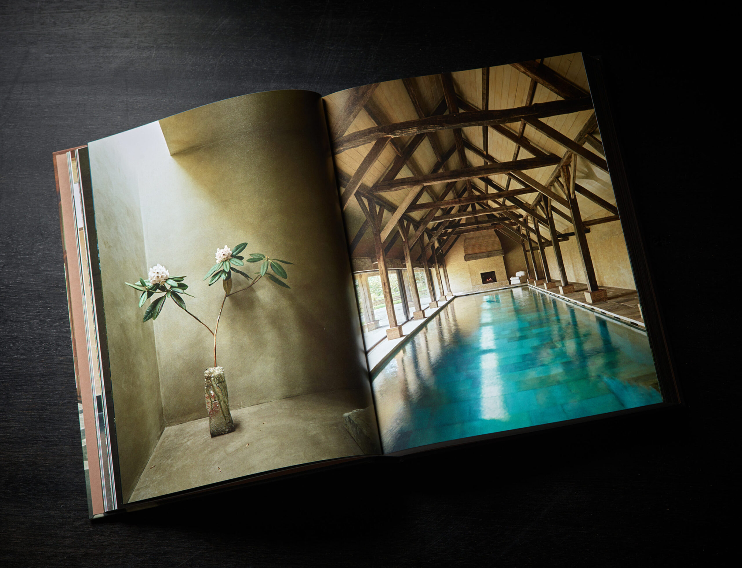 Axel Vervoordt: Portraits of Interiors