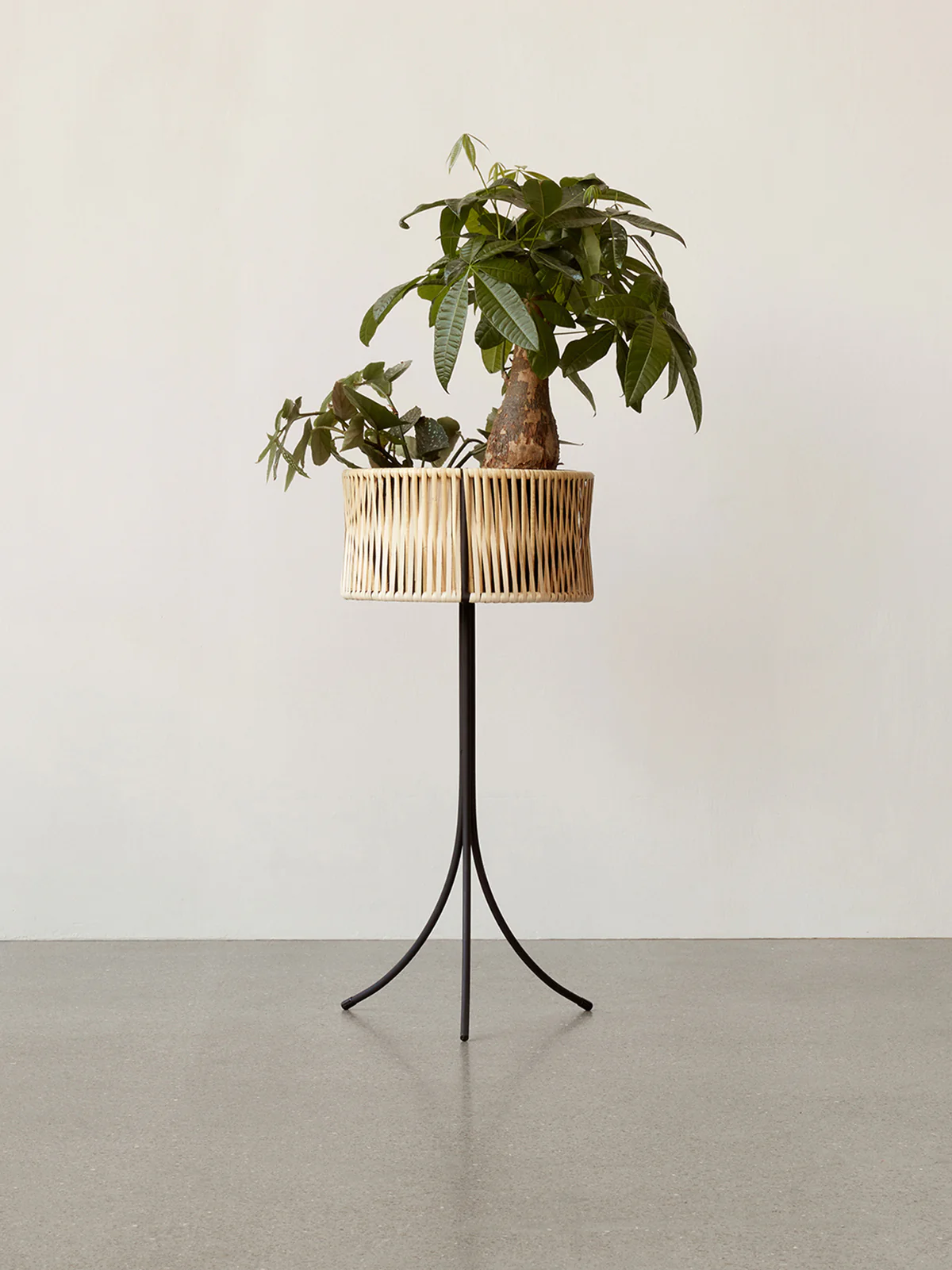 Umanoff Planter, 69, Black/Rattan