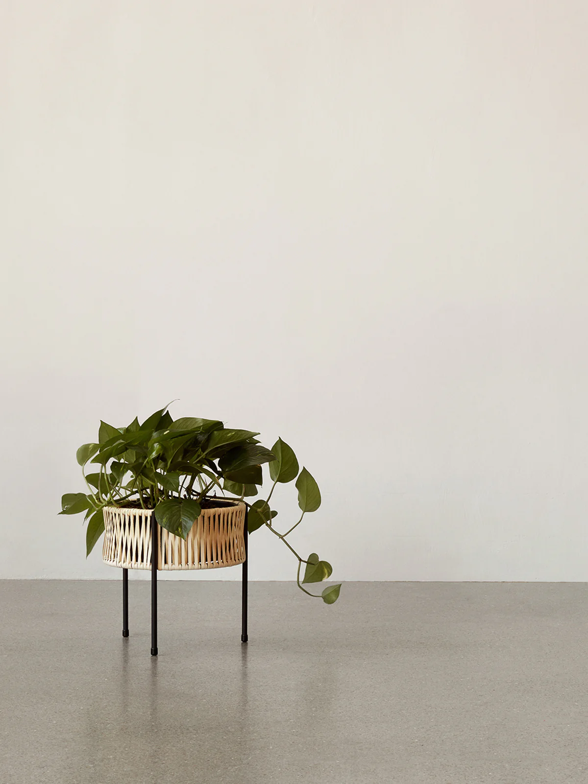 Umanoff Planter, 32.5, Black/Rattan