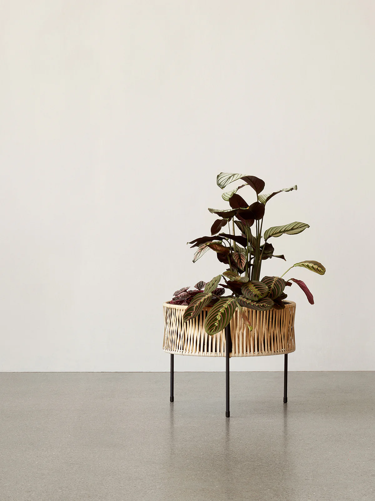 Umanoff Planter, 32.5, Black/Rattan