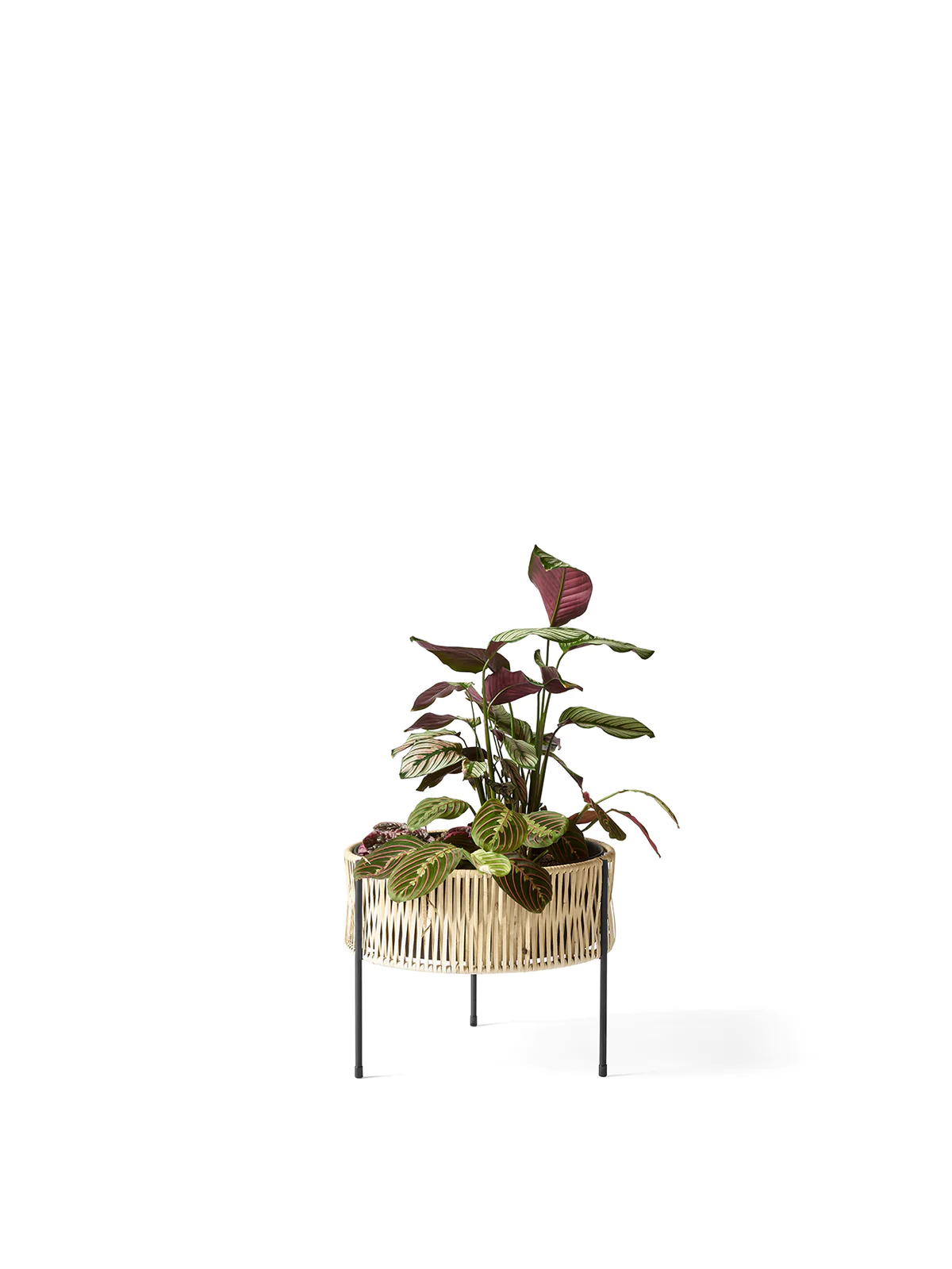 Umanoff Planter, 32.5, Black/Rattan