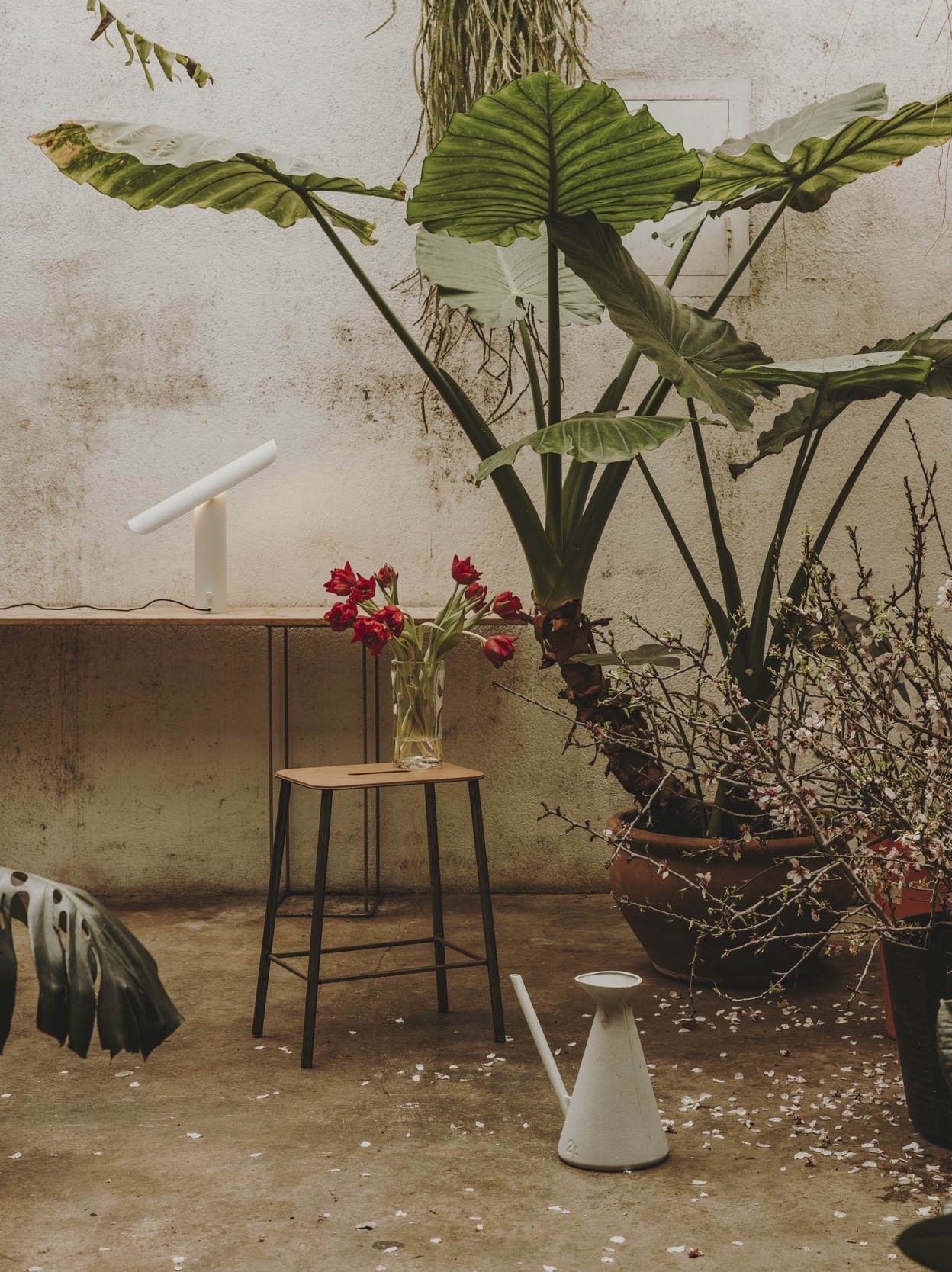 Adam Stool H50, Oak / Black