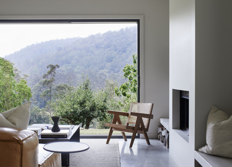 Easy Armchair (V Leg), Natural Teak / Dark Stained Teak