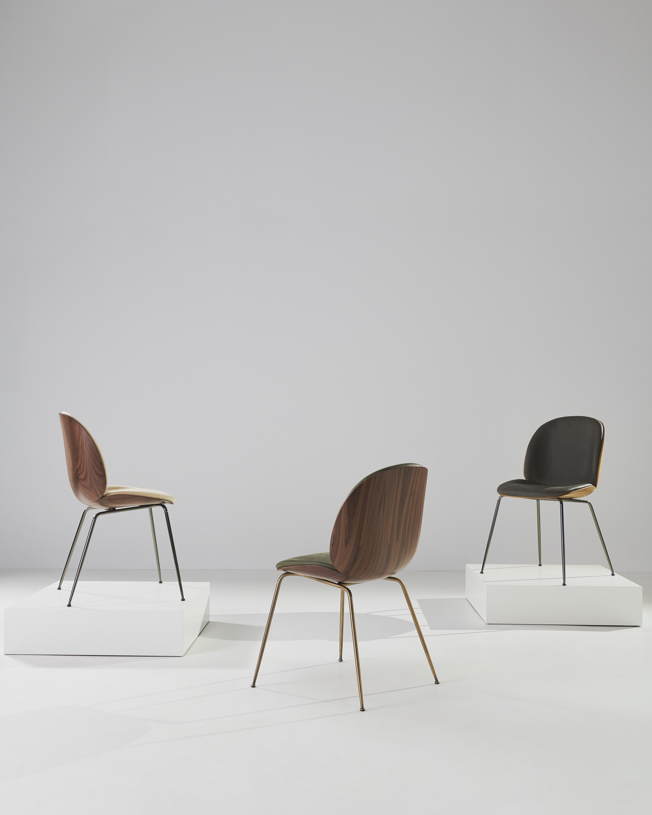 Beetle Dining Chair, Front Upholstered, Brass Semi Matt Base, Walnut Semi Matt Lacquered Shell