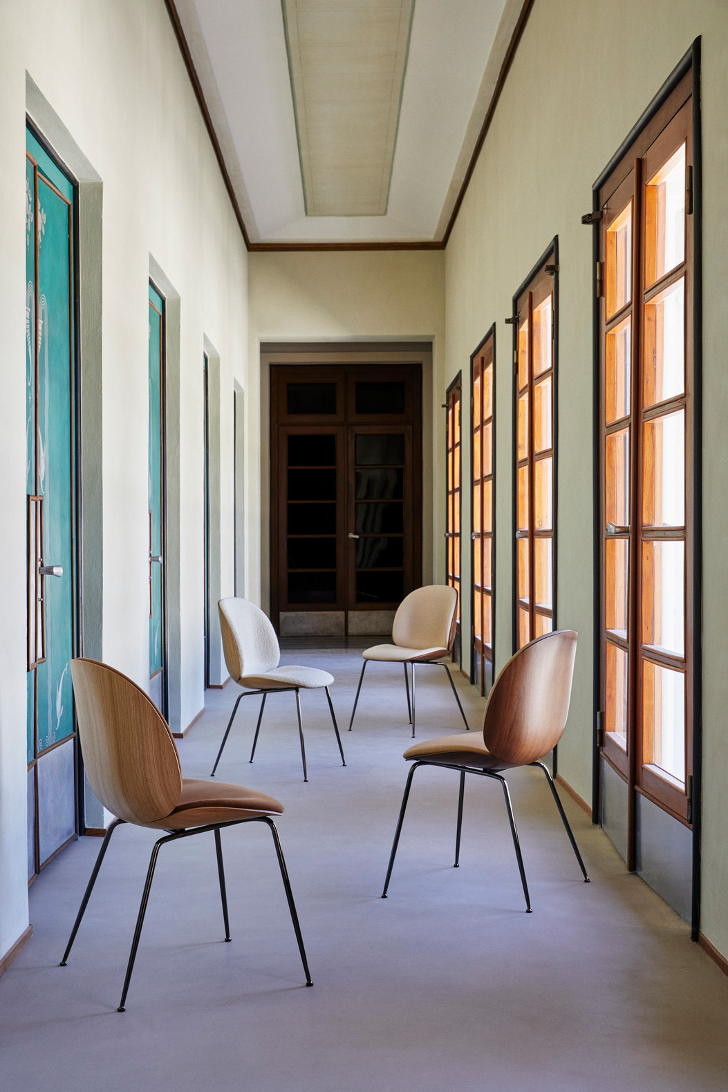 Beetle Dining Chair, Front Upholstered, Brass Semi Matt Base, Walnut Semi Matt Lacquered Shell