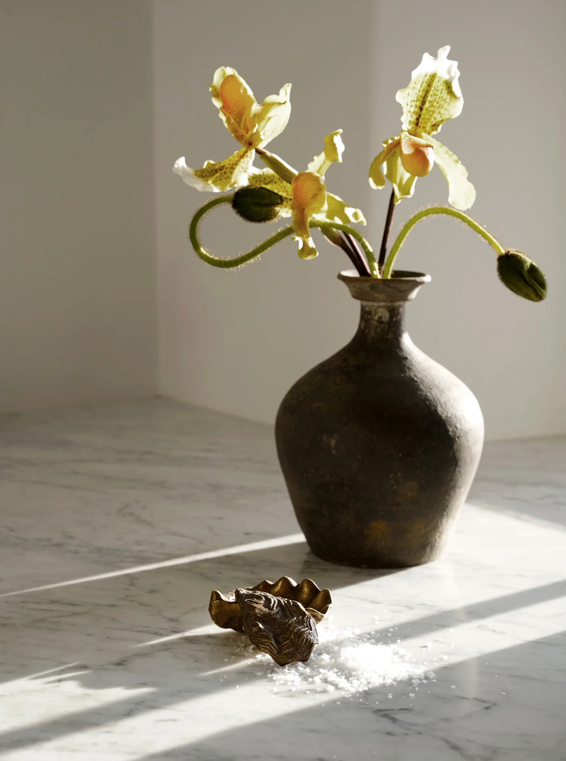 Antique Brass Oyster