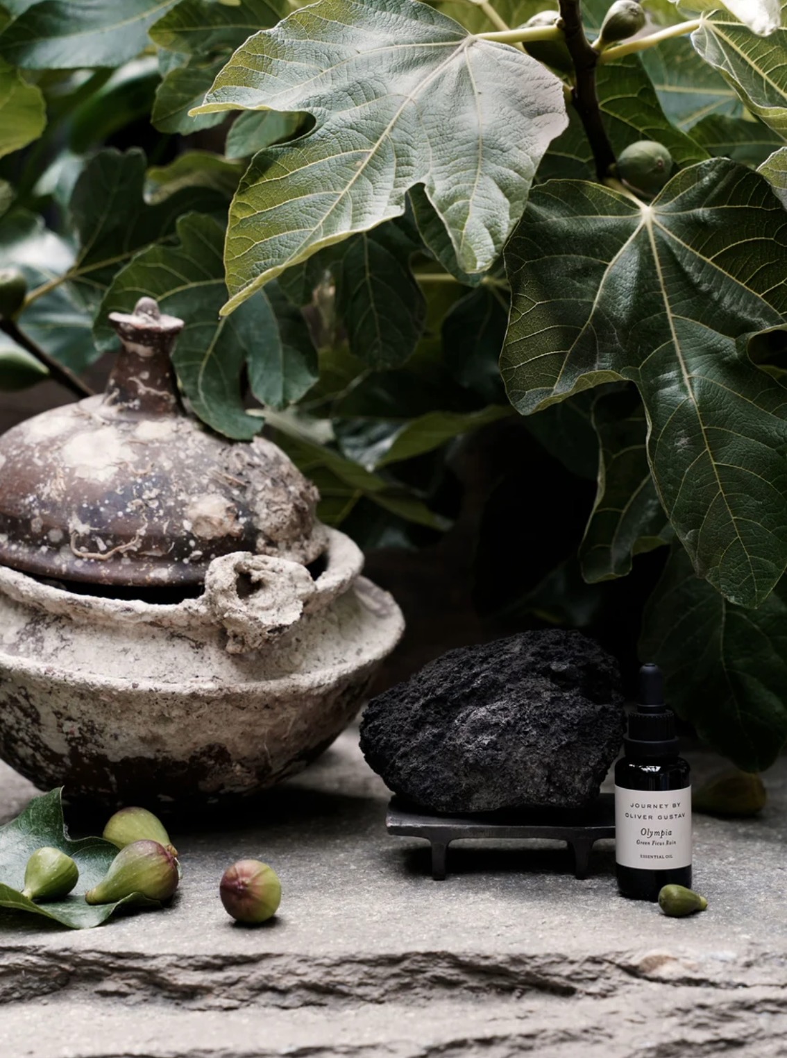 Potpourri on Iron Stand, Olympia