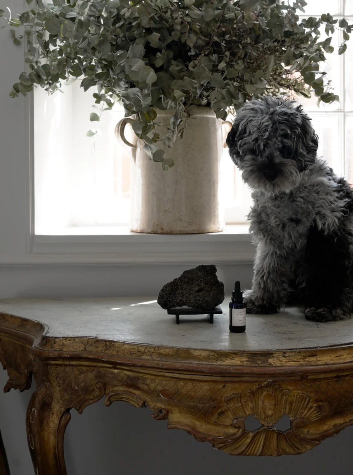 Potpourri on Iron Stand, Sol