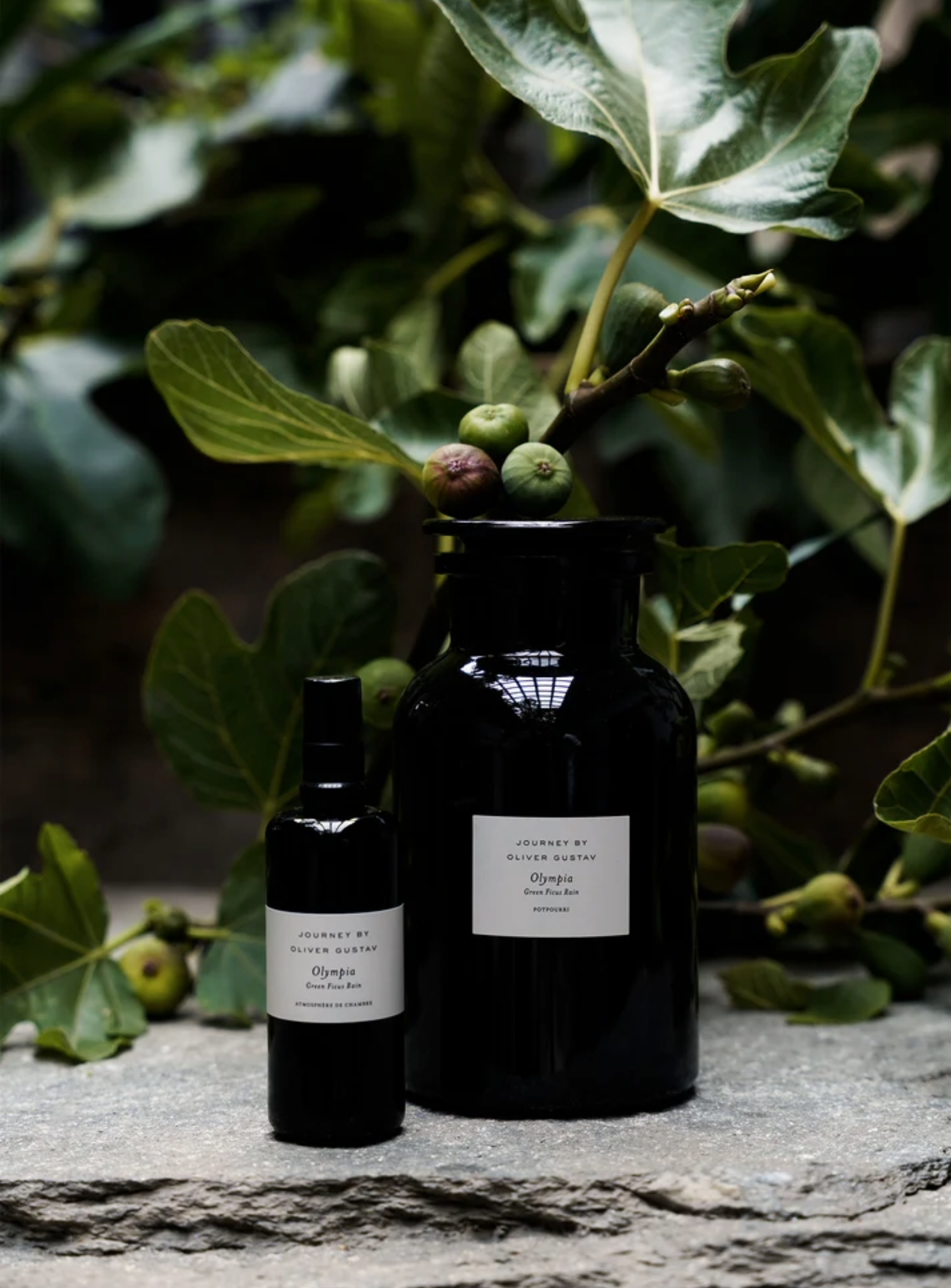 Potpourri in Apothecary Jar, Olympia